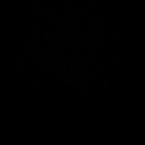 Meet your Posher, Tierra